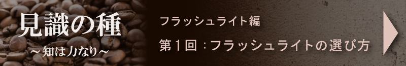 FRONTLINESブログ 見識の種