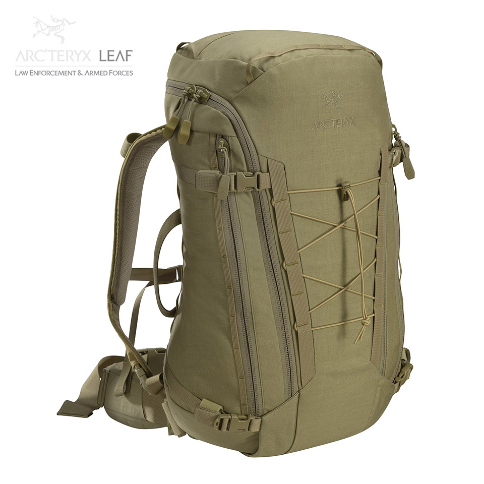 Arc'teryx leaf ASSAULT PACK 30 – Crocodile | 七洋交産株式会社